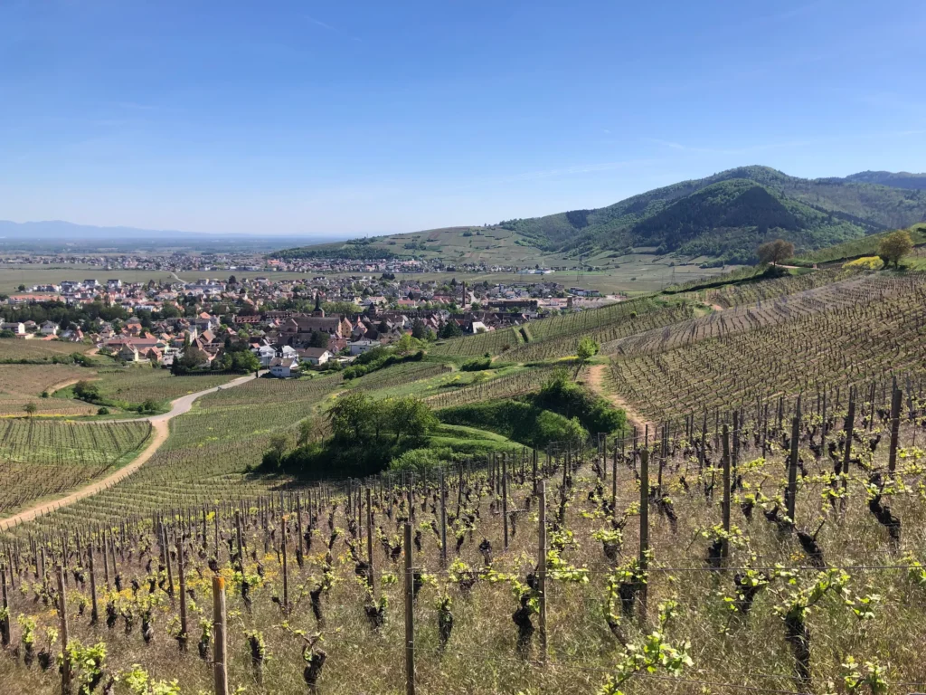 champagne-alsace-et-bourgogne