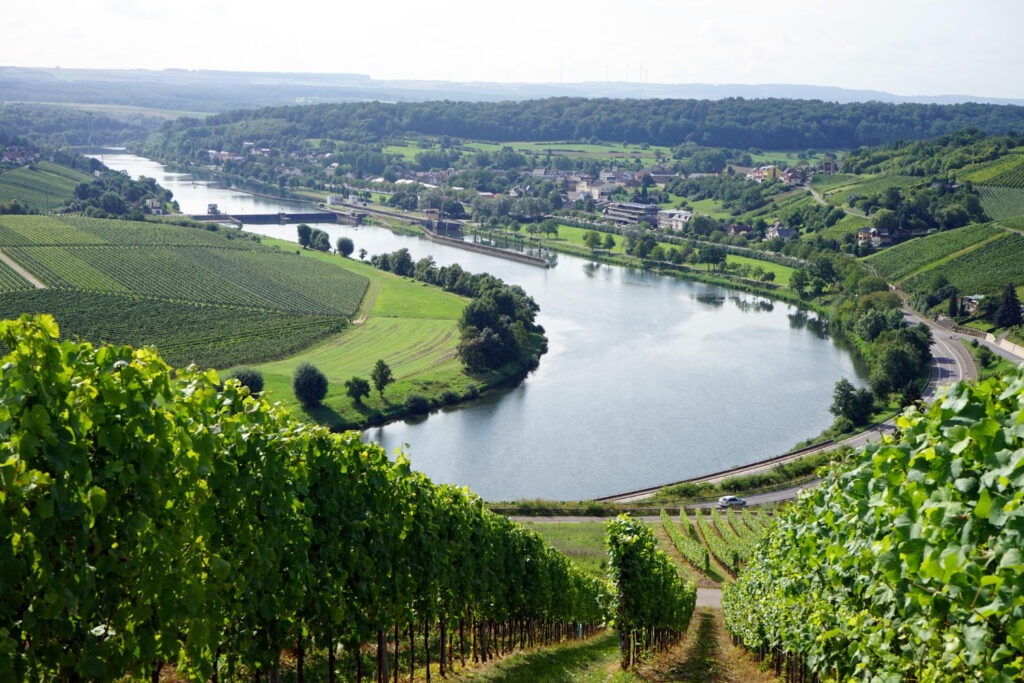 Paris to Loire Valley wine tours