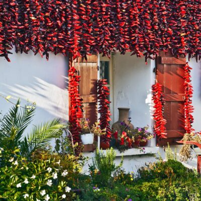 unique experiences in Basque Country-espelette