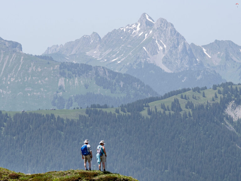high-mountains-hills-covered-with-forests