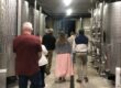 on the wine route alsace fbl eductour julie